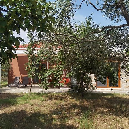 Elea Stone Houses In Organic Quiet Olive Grove, Prinos, Thassos Bilik gambar