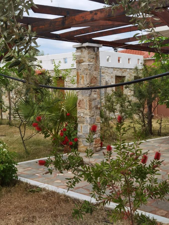 Elea Stone Houses In Organic Quiet Olive Grove, Prinos, Thassos Luaran gambar