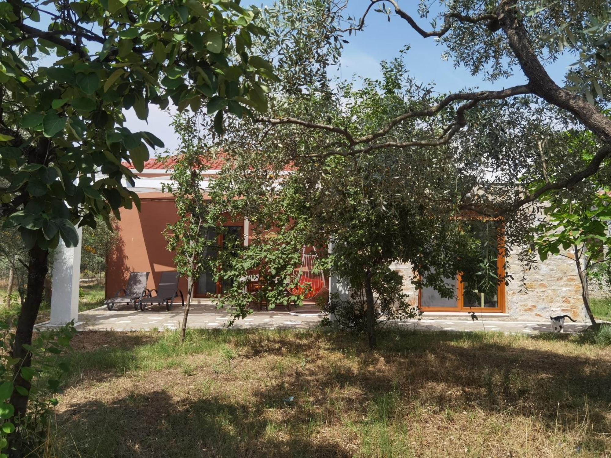 Elea Stone Houses In Organic Quiet Olive Grove, Prinos, Thassos Bilik gambar