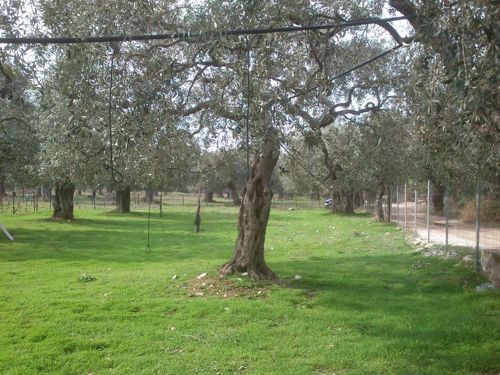 Elea Stone Houses In Organic Quiet Olive Grove, Prinos, Thassos Luaran gambar