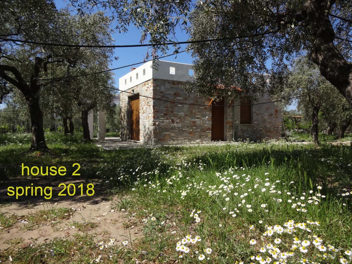 Elea Stone Houses In Organic Quiet Olive Grove, Prinos, Thassos Luaran gambar